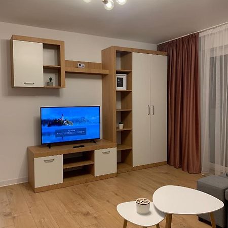 Sunny Apartment In Suceava Luaran gambar